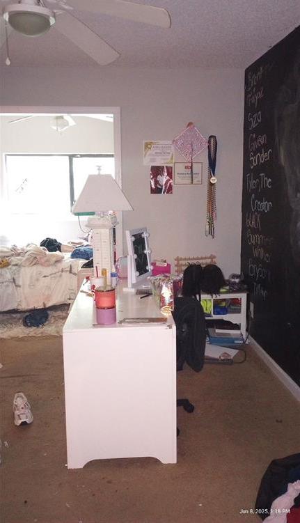 Photo #17