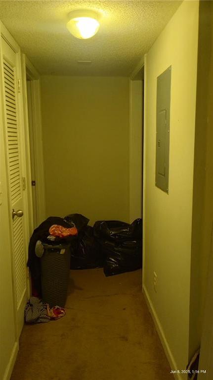 Photo #13