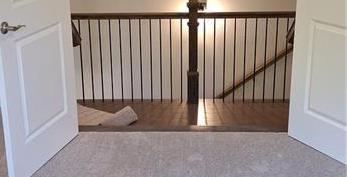 Photo #44