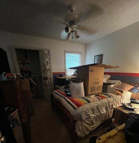 Photo #23
