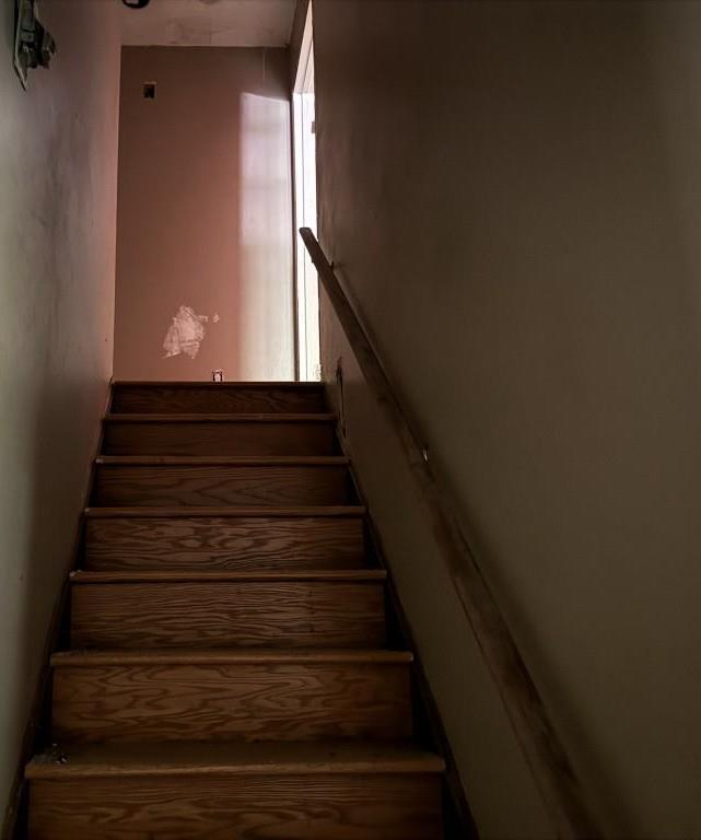 Photo #14