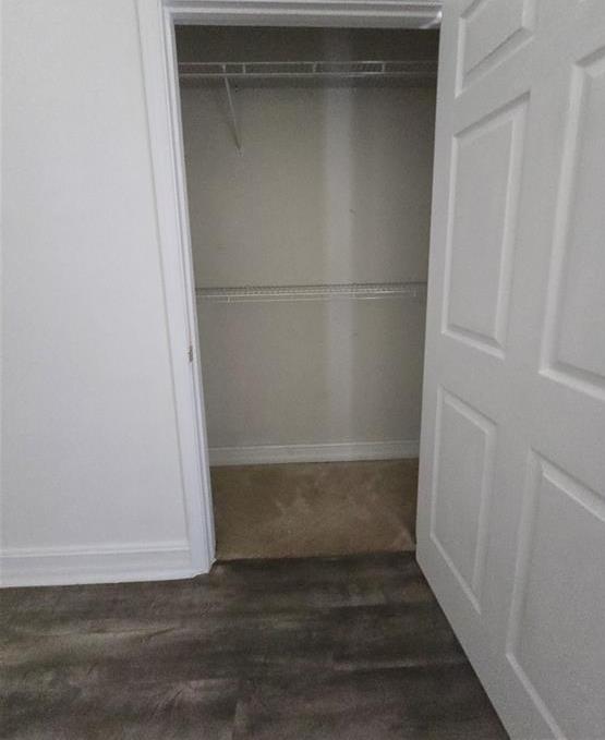 Photo #41