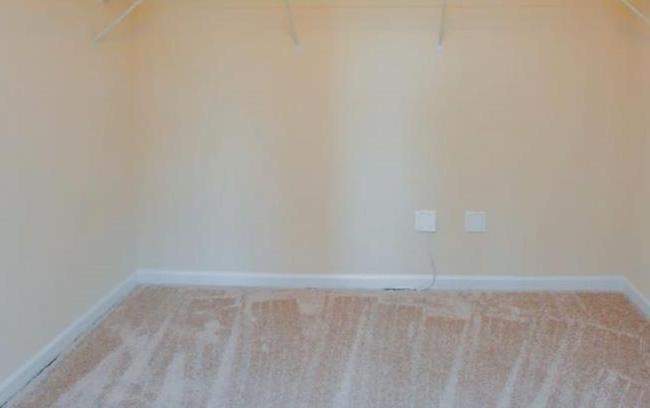 Photo #13