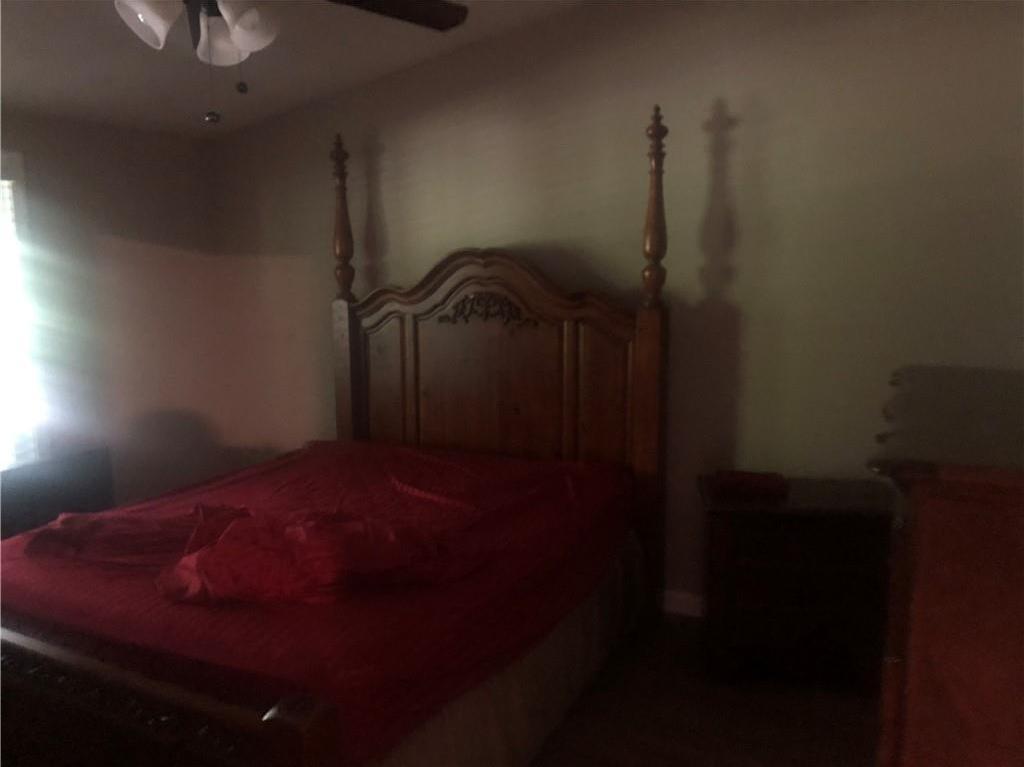 Photo #12