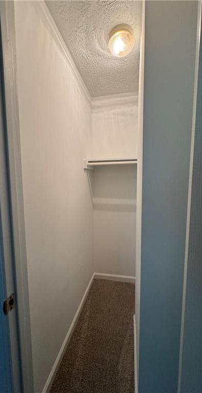 Photo #28