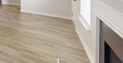 Photo #12