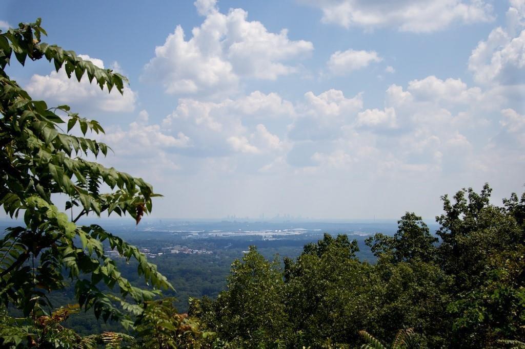 Photo #45