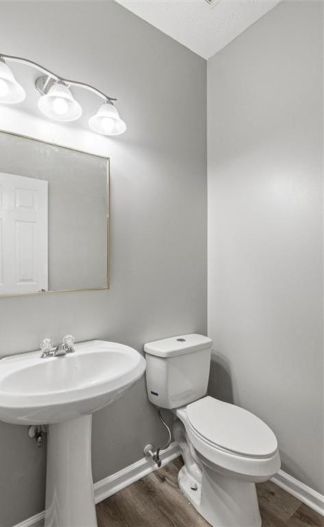 Photo #14