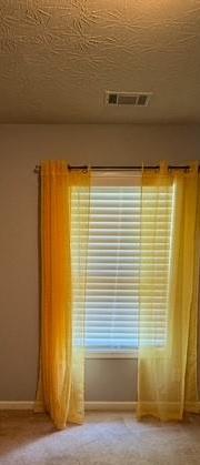 Photo #13