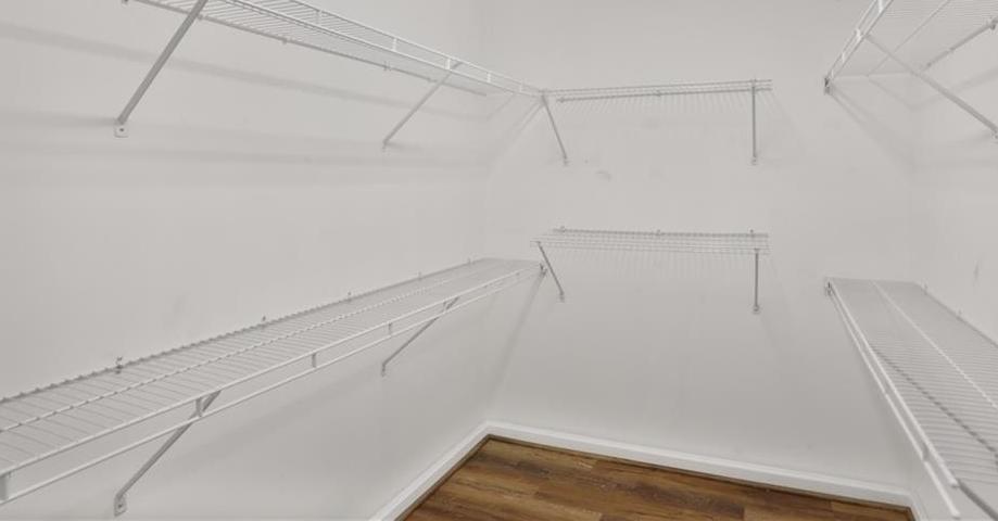 Photo #16