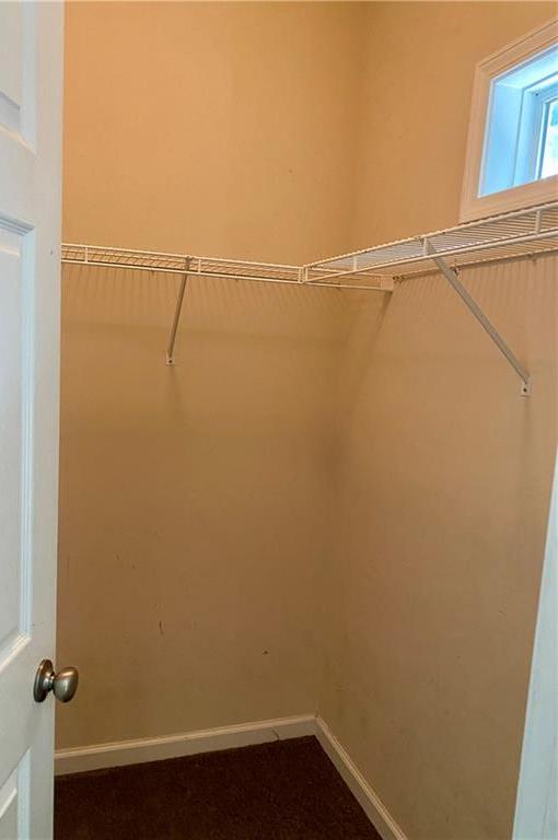 Photo #23