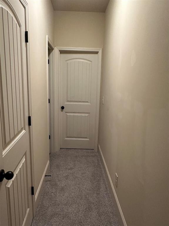 Photo #44