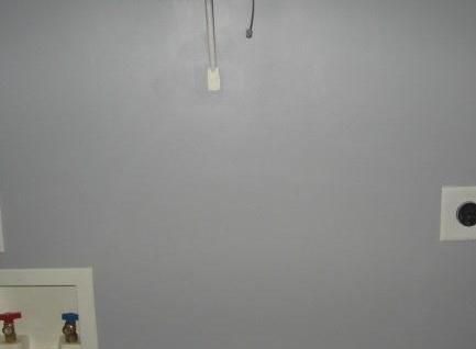 Photo #8