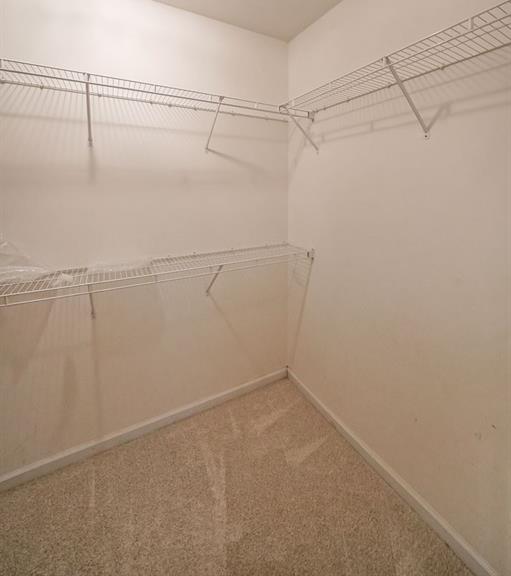 Photo #14