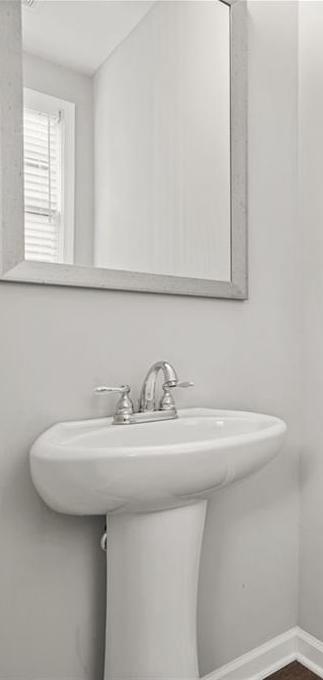 Photo #11