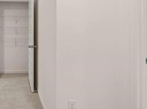 Photo #61