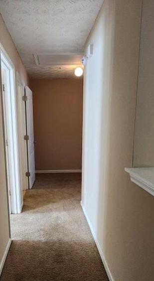 Photo #18