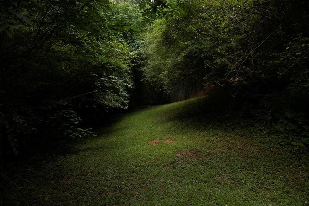 Photo #41