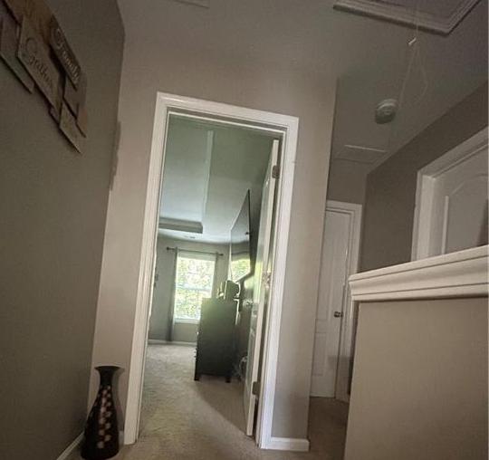Photo #31