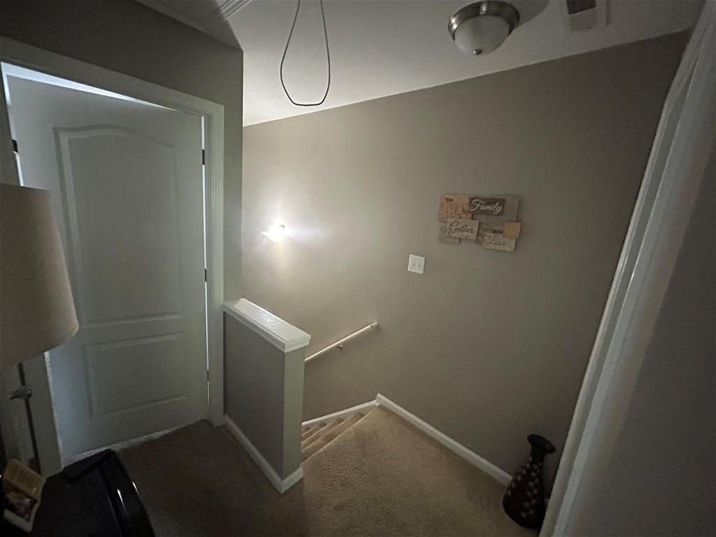 Photo #41