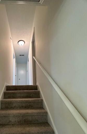 Photo #13