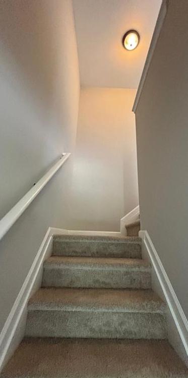 Photo #19