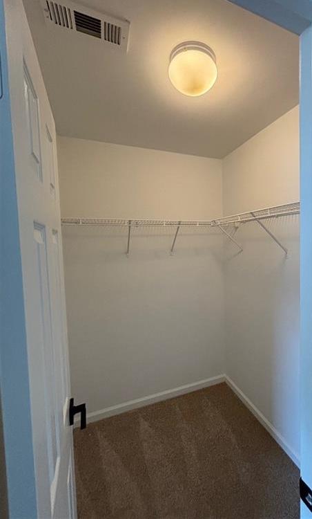Photo #24