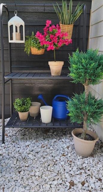 Photo #45