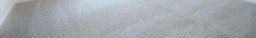 Photo #15