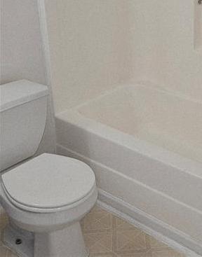 Photo #15