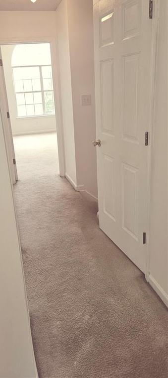 Photo #12