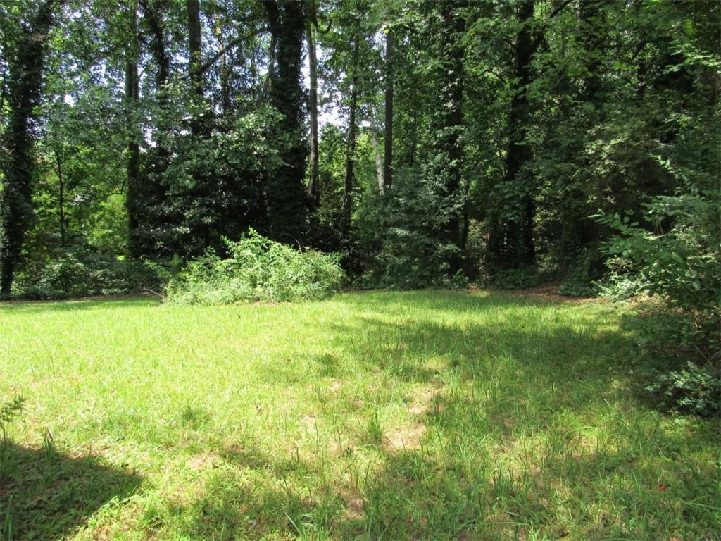 Photo #24