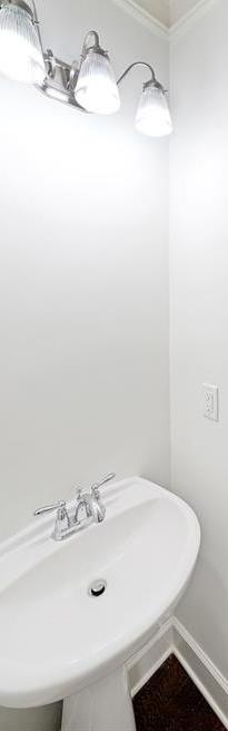 Photo #13