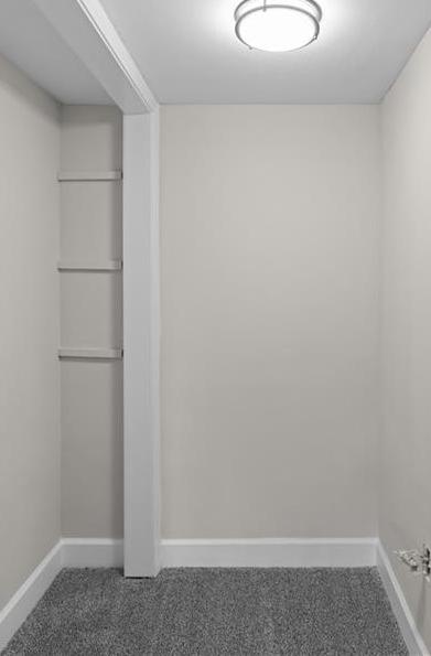 Photo #7