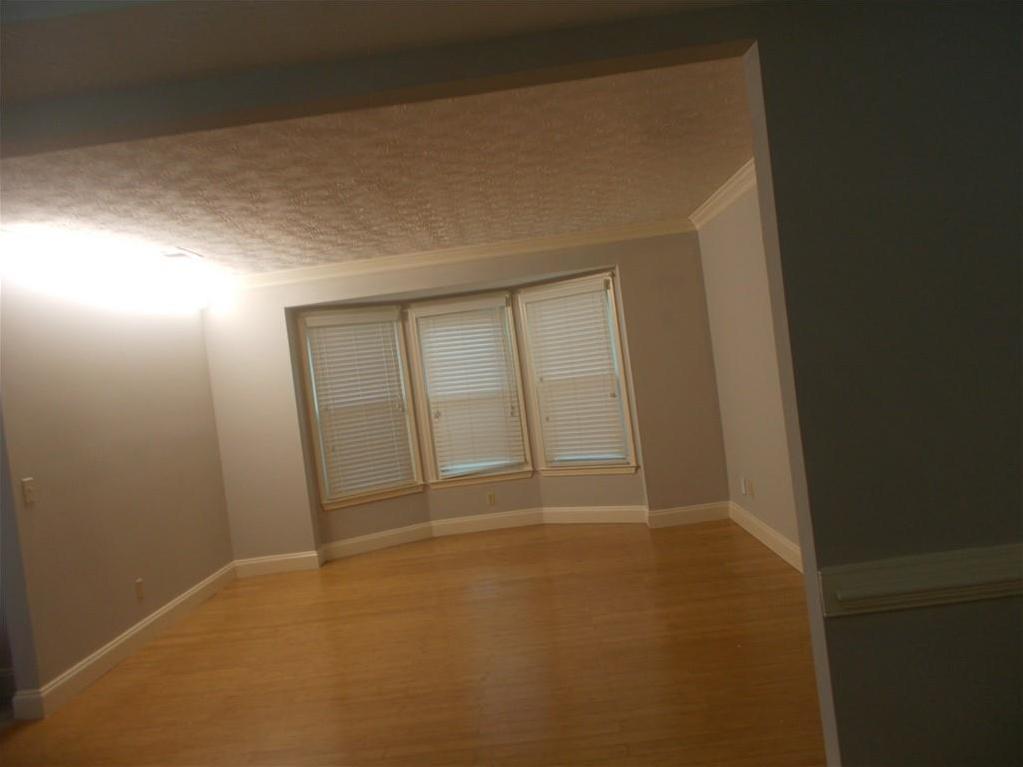 Photo #12
