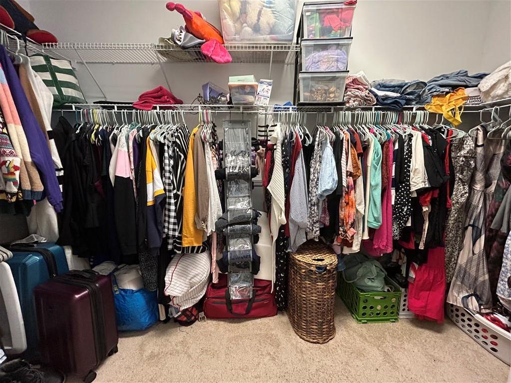 Photo #17