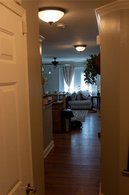 Photo #8
