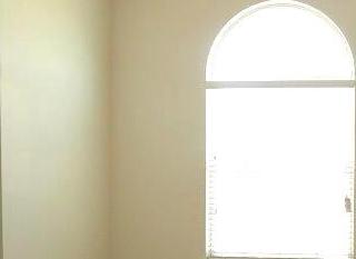 Photo #12