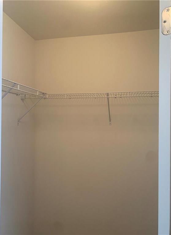 Photo #42