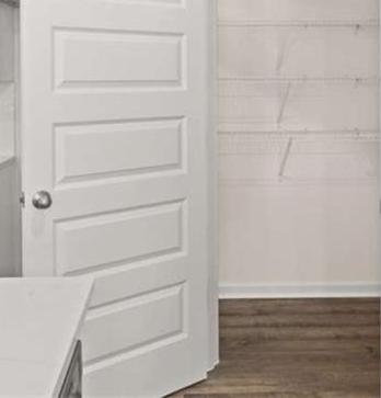 Photo #11