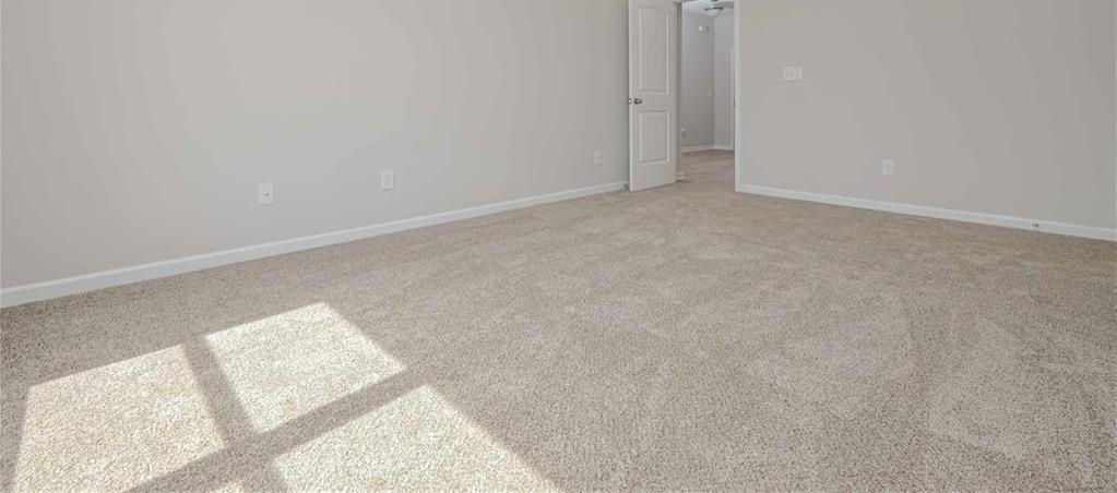 Photo #13