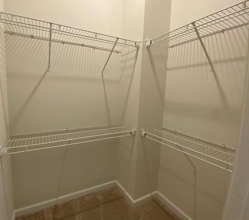 Photo #41