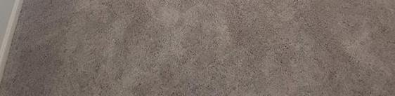 Photo #14