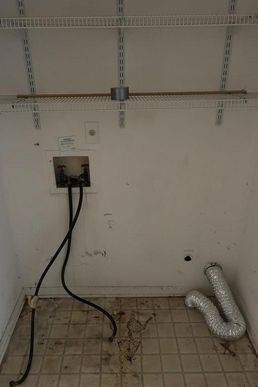 Photo #17