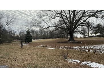 Spacious lot with mature trees and open space at 1597 Highway 92 S, Fayetteville, GA 30215