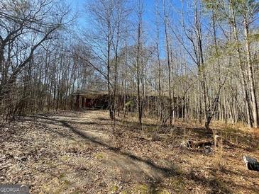 Ranch house nestled in a wooded lot with a long driveway at 7405 Highway 155, Ellenwood, GA 30294