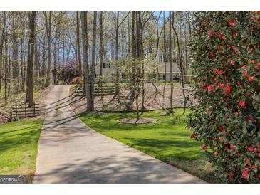 Charming home with a long driveway, mature trees, and meticulous landscaping at 65 Dundee Pl, Sharpsburg, GA 30277