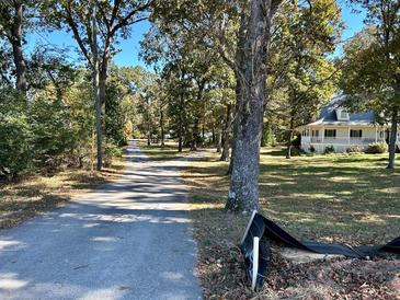 Quiet tree-lined street leading to a charming house at 3530 Dahlonega Hwy, Cumming, GA 30028