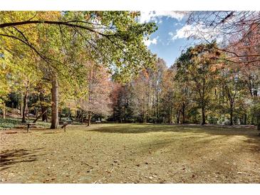 Spacious grassy park with mature trees and picnic tables at 1122 Westchester Ne Rdg, Atlanta, GA 30329