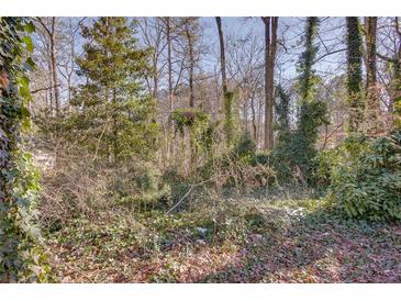 Wooded backyard with lush greenery and mature trees at 605 Spruce Dr, Pine Lake, GA 30072